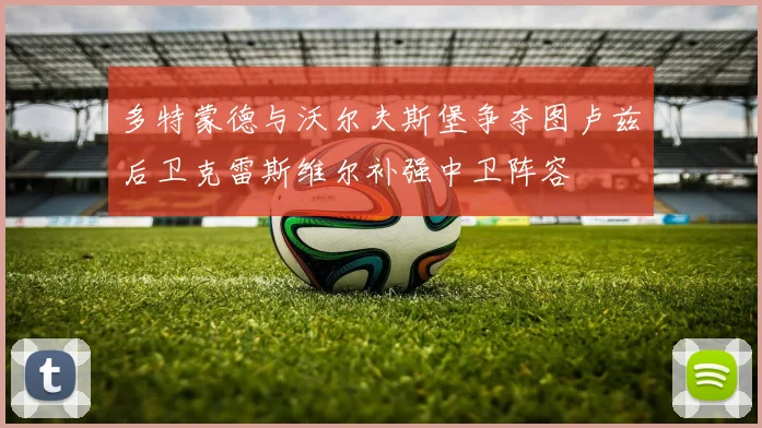 多特蒙德与沃尔夫斯堡争夺图卢兹后卫克雷斯维尔补强中卫阵容