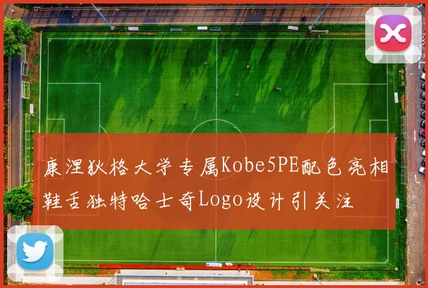 康涅狄格大学专属Kobe5PE配色亮相鞋舌独特哈士奇Logo设计引关注